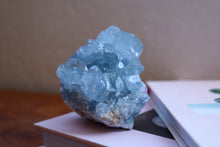 Load image into Gallery viewer, Close up of Small Blue Celestite cluster sitting atop a book