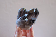 Load image into Gallery viewer, Multiple points Smokey Quartz cluster with raw base and grey-brown in colour, being held by fingertips