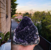 Load image into Gallery viewer, Large Amethyst Cluster being held with sunset in the background, it is a juicy dark purple colour