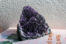 Load image into Gallery viewer, Large Amethyst Cluster sat atop a book facing light source, it is a juicy dark purple colour