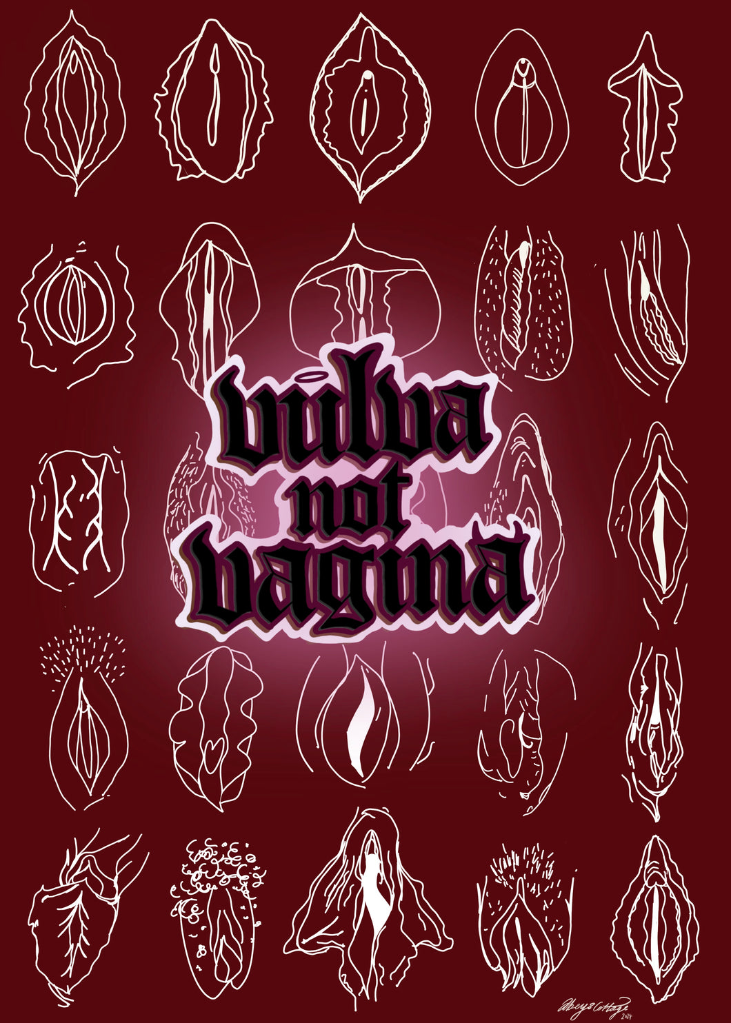 Vulva Not Vagina – Challenging Language, Celebrating Diversity