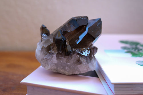 Multiple point Smokey Quartz cluster with  raw base and grey-brown in colour, sitting atop a book