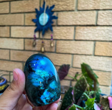 Load image into Gallery viewer, Singular Labradorite boulder showing blue flashes held in front of plants. 
