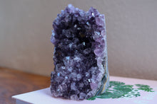 Load image into Gallery viewer, Medium sized amethyst cluster with chunky shards sitting atop a book, combined dark purple to lilac 
