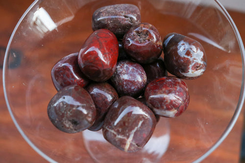 Handful of Red and earth toned Brecciated Jasper tumbles in a clear martini glass
